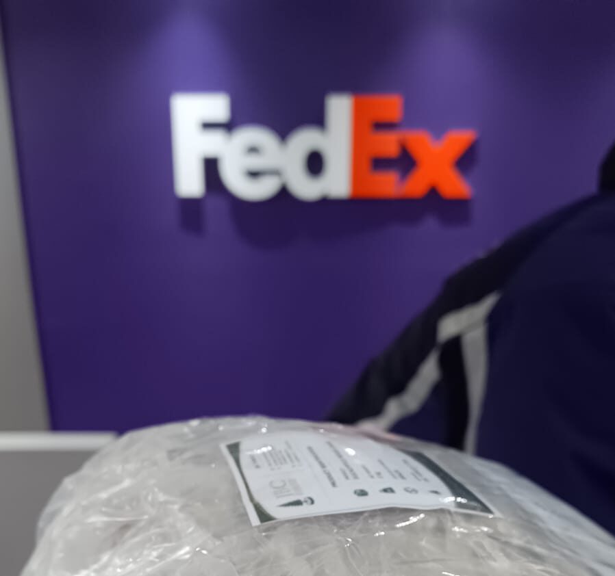 Amostra embalada e identificada para envio ao comprador